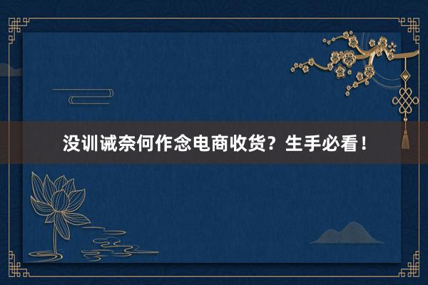 没训诫奈何作念电商收货？生手必看！