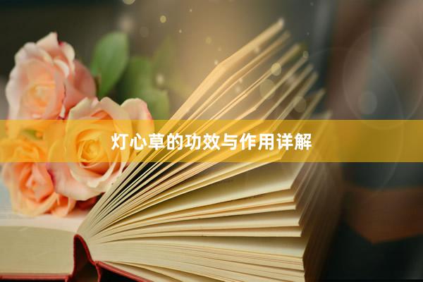 灯心草的功效与作用详解